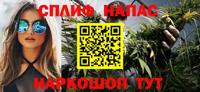 стафф Дубна